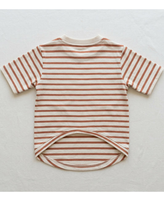 Rdwxg Striped Cotton Jersey Pet T-Shirt Small Clay Ivory - Lifestyle view