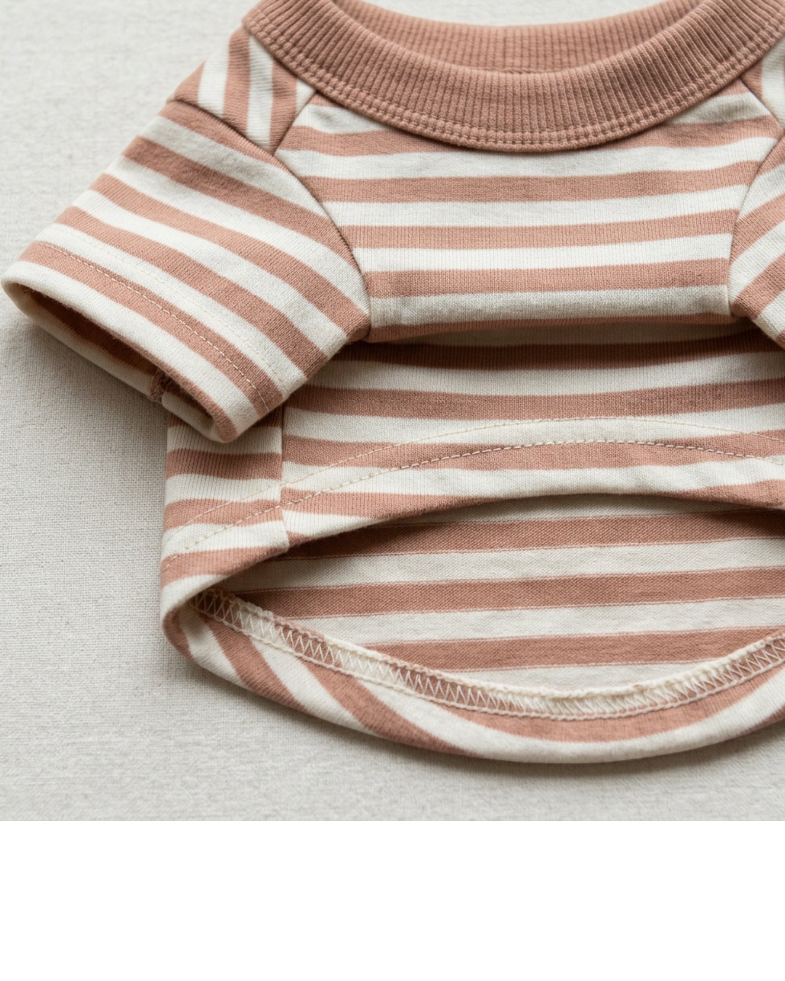 Rdwxg Striped Cotton Jersey Pet T-Shirt Small Clay Ivory - Detail view