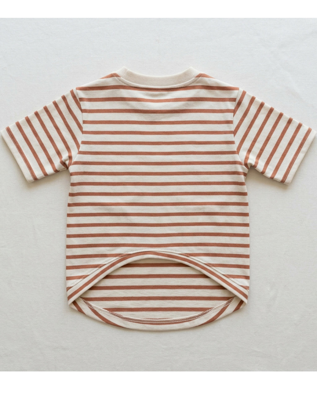 Rdwxg Striped Cotton Jersey Pet T-Shirt Small Clay Ivory - Lifestyle view