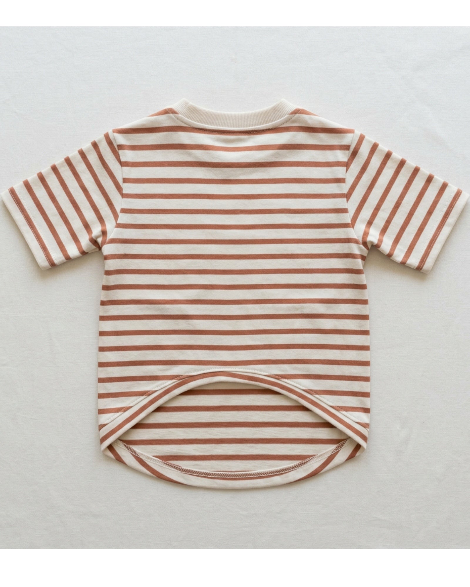 Rdwxg Striped Cotton Jersey Pet T-Shirt Small Clay Ivory - Lifestyle view