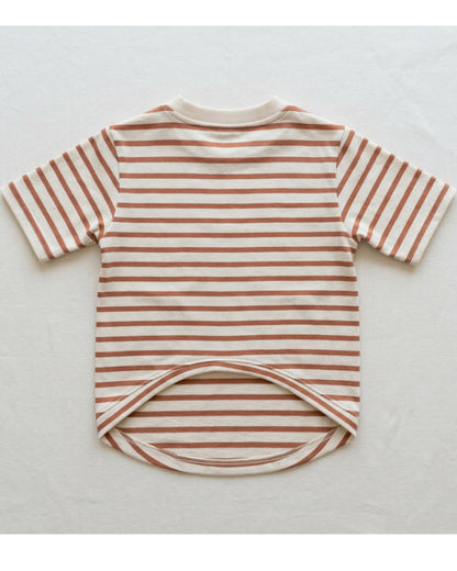 Rdwxg Striped Cotton Jersey Pet T-Shirt Small Clay Ivory - Lifestyle view