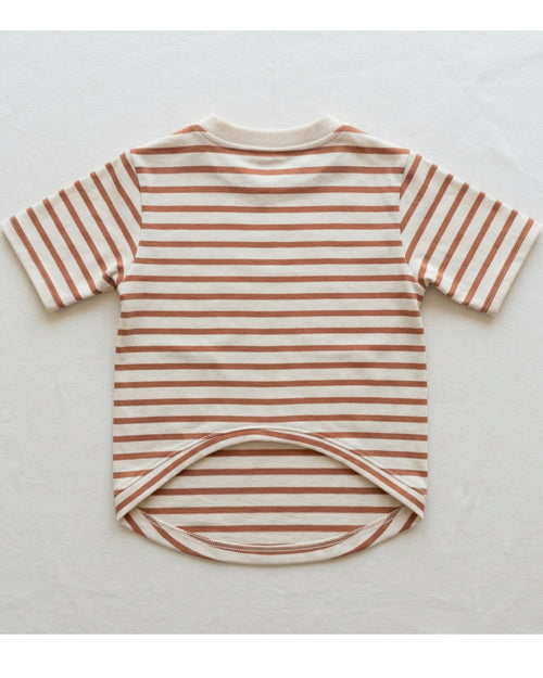 Rdwxg Striped Cotton Jersey Pet T-Shirt Small Clay Ivory - Lifestyle view