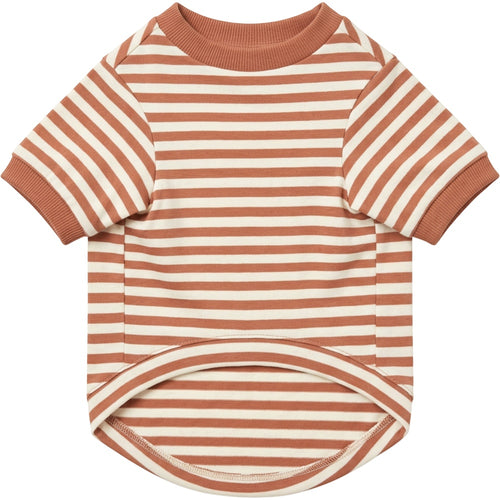Rdwxg Striped Cotton Jersey Pet T-Shirt Small Clay Ivory - Product view